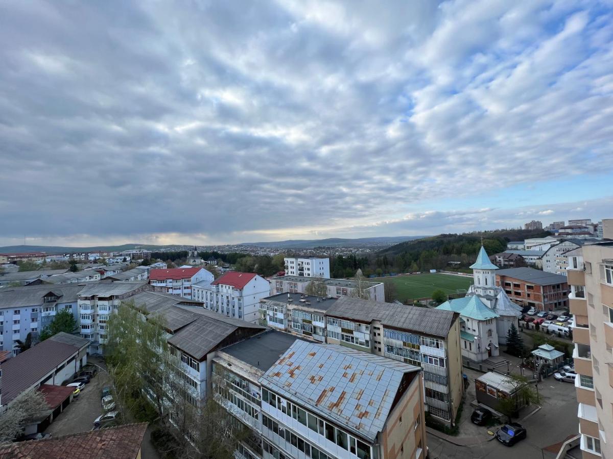 Sunny Luxury Home G. Enescu Suceava Eksteriør bilde