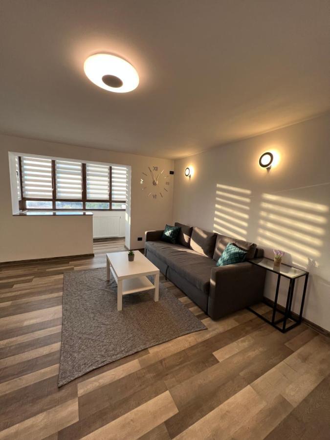 Sunny Luxury Home G. Enescu Suceava Eksteriør bilde