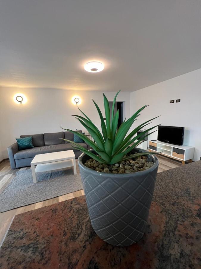 Sunny Luxury Home G. Enescu Suceava Eksteriør bilde